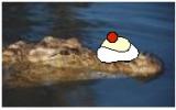 sssesKroko.jpg