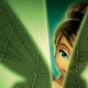 images/avatars/avatar-1019.jpg