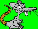 ratte.jpg